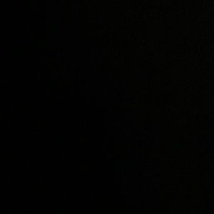 Meet your Posher, Kaila